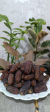 خرما پیارم درجه 1